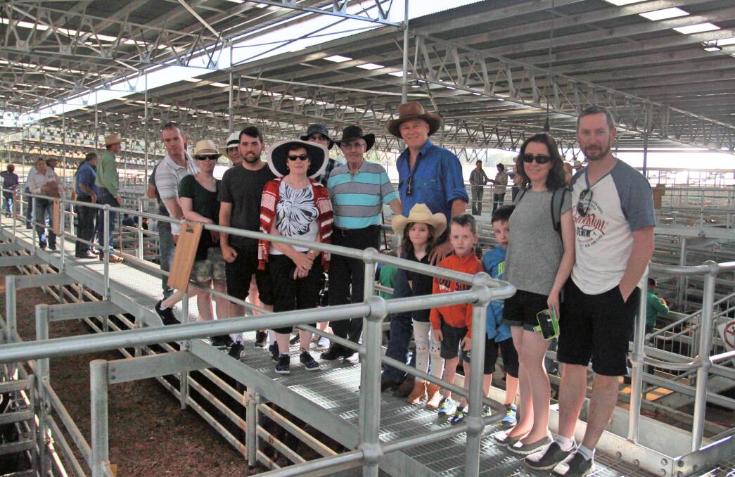 Visir: A group of Irish cattle producers experienced first-hand the cutting edge of Australian cattle marketing at SELX's weekly cattle sale. Photo: Supplied.