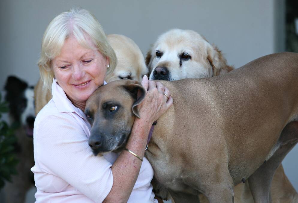 Animal lover: Catherine Burgess won a PIAA Pet Services of Excellence award for her business, Time Out Pet Care in Yass Valley. Photo: Supplied.