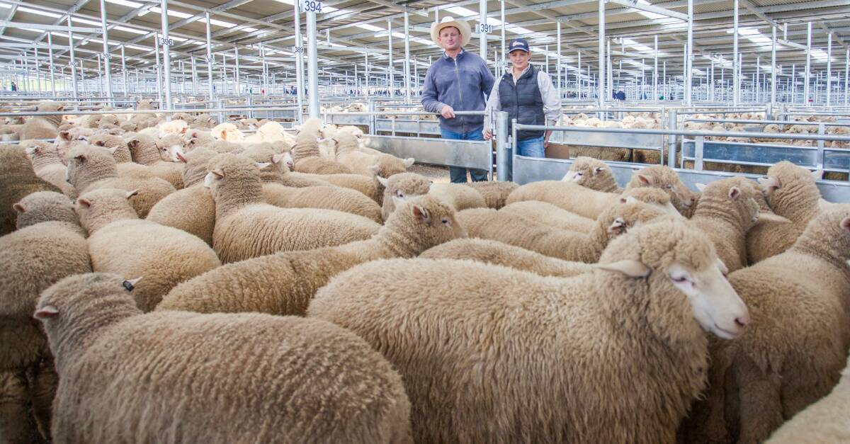 MARKET: Greg Anderson and Mel Marshall of MD & JJ Anderson sold XB suckers on behalf of Jacqui Arabin Bourlet, Binalong for $165ph. 