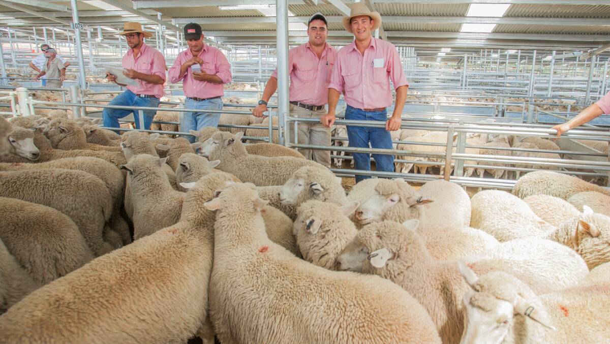 Ben Seaman and Oliver Mason, Elders topped the XB Lamb price on Wednesday, January 11, selling on behalf of TEF Hughes, Bannister to a top of $172.60ph.