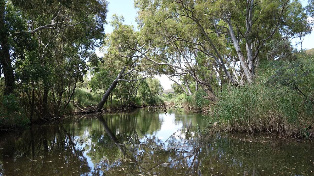 The NSW Environmental Trust has provided additional funding for the 'Rivers of Carbon: Yass River Linkages Phase Two' project.