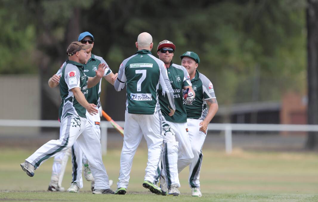 TEAM TO BEAT: The Bowning Buffaloes appear the in-form team going into the 2016–17 Triggs Shield semifinals on February 25. Photo: RS Williams.