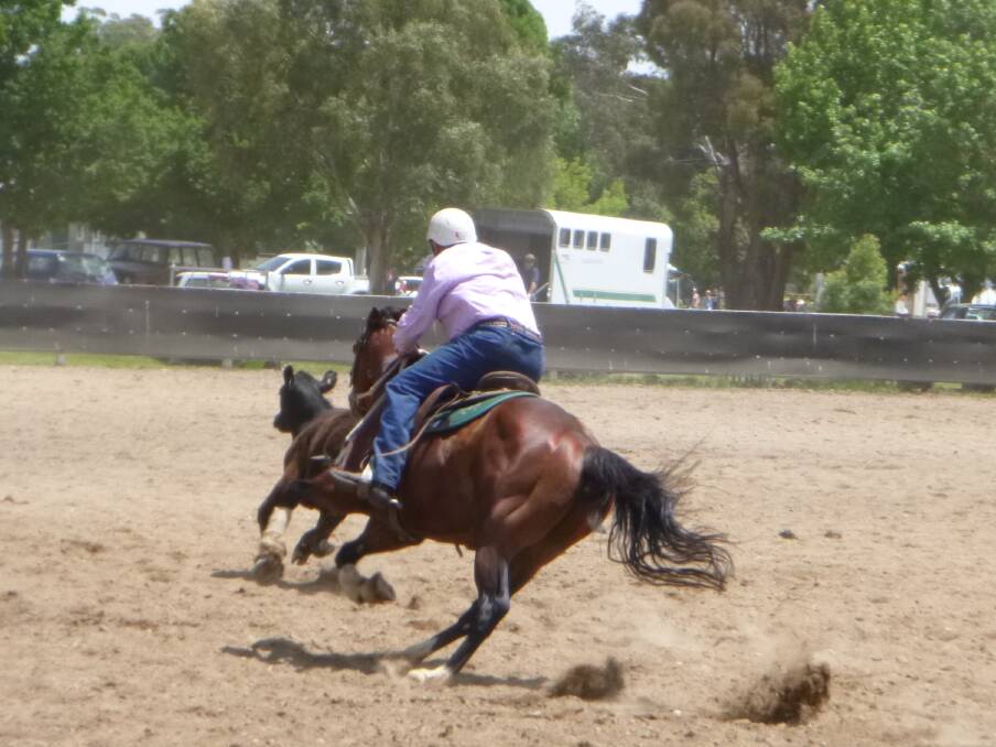 In action: Simon Dodwell of Bethungra in action on "Berragoon Expose" won the Maiden Two competition at the Gunning Campdraft. Photo: Supplied