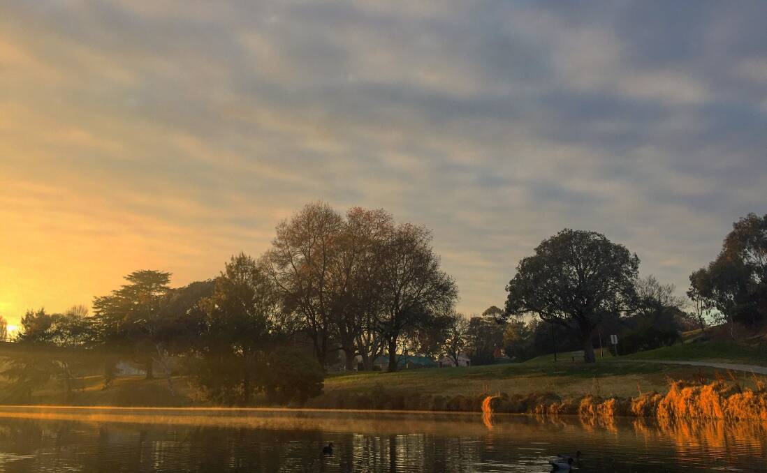 PHOTO OF THE WEEK: The glow of sunrise during a rare fogless morning along the Yass River at Riverbank Park on Friday, July 14. Photo: Toby Vue