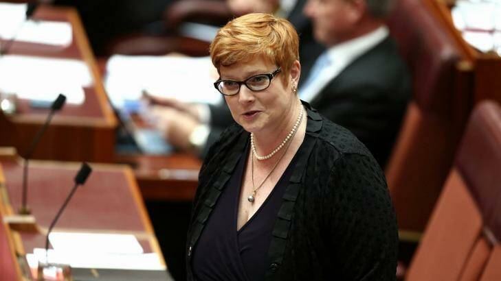 Voters were encouraged by Mike Baird's strong message: Marise Payne. Photo: Alex Ellinghausen