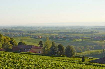 Rural Vonnas: Local vineyards  supply some of the 130,000 bottles of wine in Restaurant George Blanc's cellar.