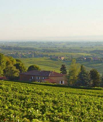 Rural Vonnas: Local vineyards  supply some of the 130,000 bottles of wine in Restaurant George Blanc's cellar.