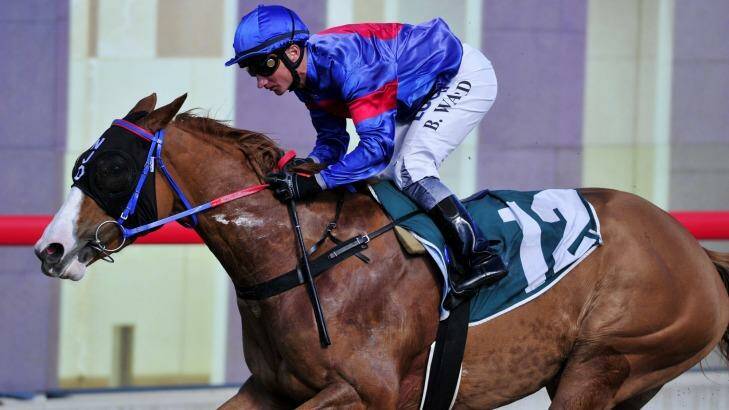 Without A Shadow will line up in the Country Championships at Randwick on Saturday. Photo: Jay Cronan