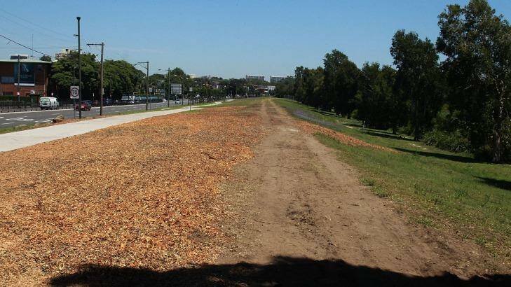 The barren land on Alison Road in Randwick where trees have been cut to make way for the light rail. Photo: Ben Rushton
