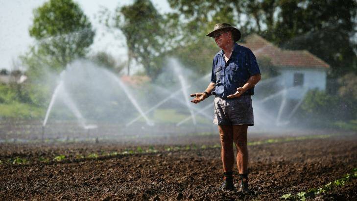 Farmer Steve Osborn cooling off at his pumpkin farm in Maitland, NSW. Photo: Peter Stoop