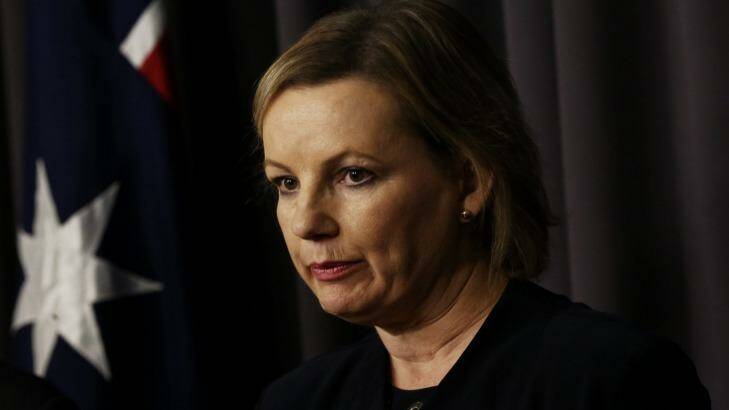 Health Minister Sussan Ley says the government is "pausing discussions" on the changes. Photo: Andrew Meares