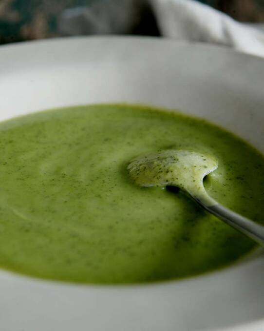 Luke Mangan's grilled zucchini soup is perfect for dinner parties <a href="http://www.goodfood.com.au/good-food/cook/recipe/zucchini-soup-20131220-2zost.html"><b>(recipe here).</b></a> Photo: Marco Del Grande