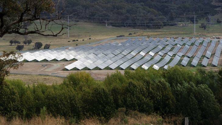 Royalla Solar Farm - support is generally strong from large-scale solar, survey finds. Photo: Graham Tidy
