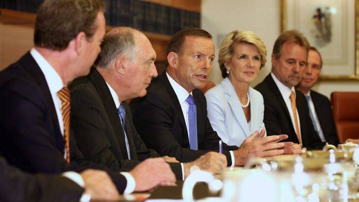 Prime Minister Tony Abbott's plan to strip Australians of their sole citizenship faces a rocky journey through cabinet. Photo: Alex Ellinghausen