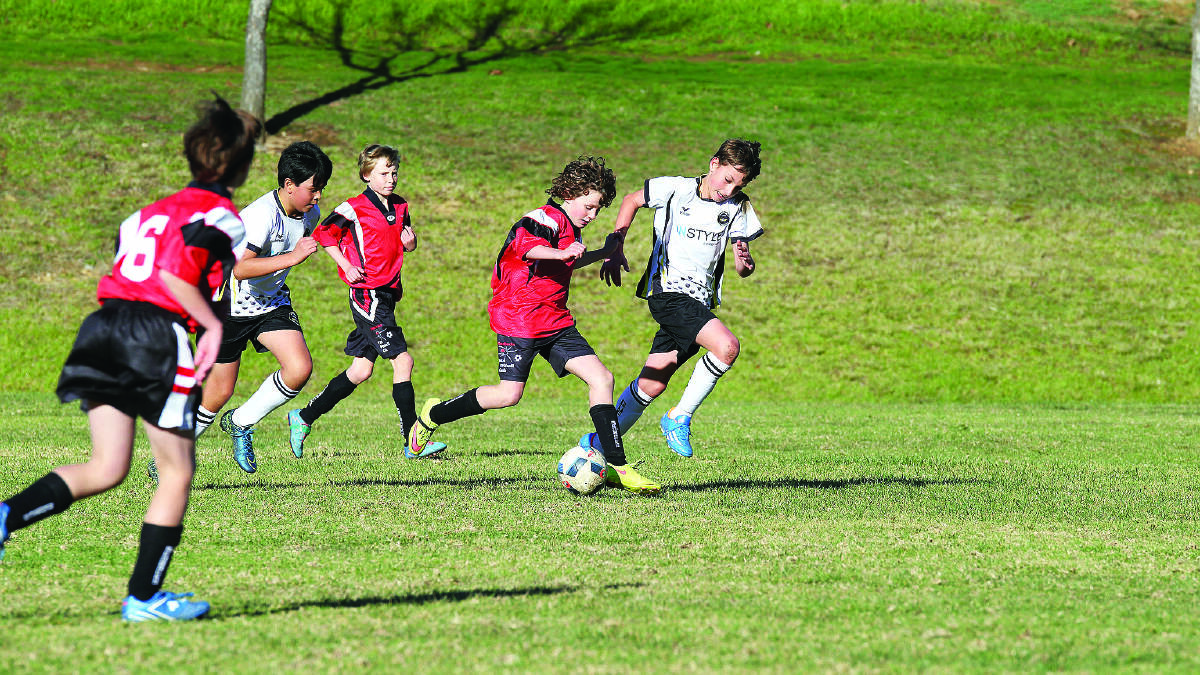 • Charles O'Brien on the attack for the Redbacks Under 12s. Photo: RS Williams. 