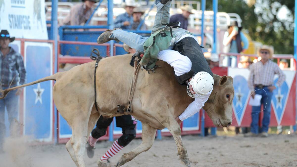 There were thrills and spills aplenty at the Murrumbateman Rural Supplies Rodeo Stampede on Saturday with a record number of spectators and competitors for the event. Photos: RS Williams and Susan Meli. 