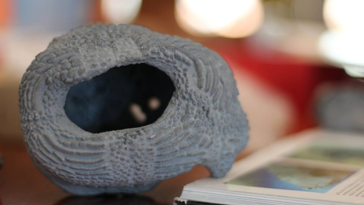 The fossilised eyeball of a lung fish, scanned and printed scaled larger by a 3D printer. Photo: Jessica Cole. 