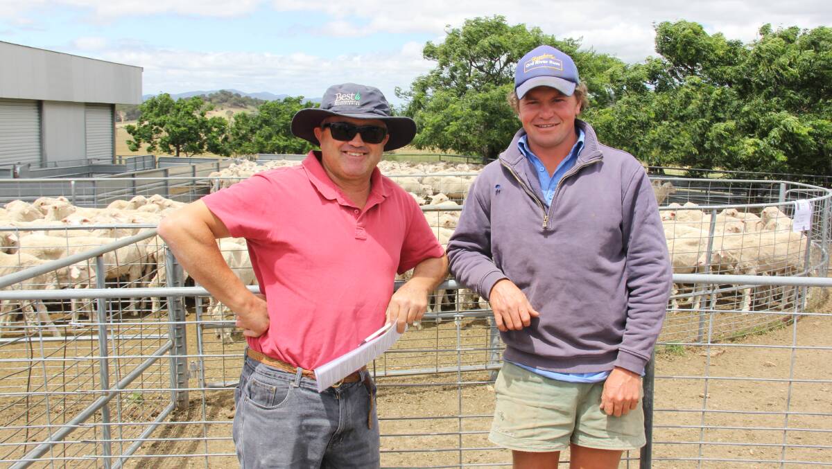Two familiar faces at the Butt Livestock & Property circuit sale were repeat buyer David Brown from 'Gambarra' Greenethorpe and local Davo Weir from 'Bertangles'.  
