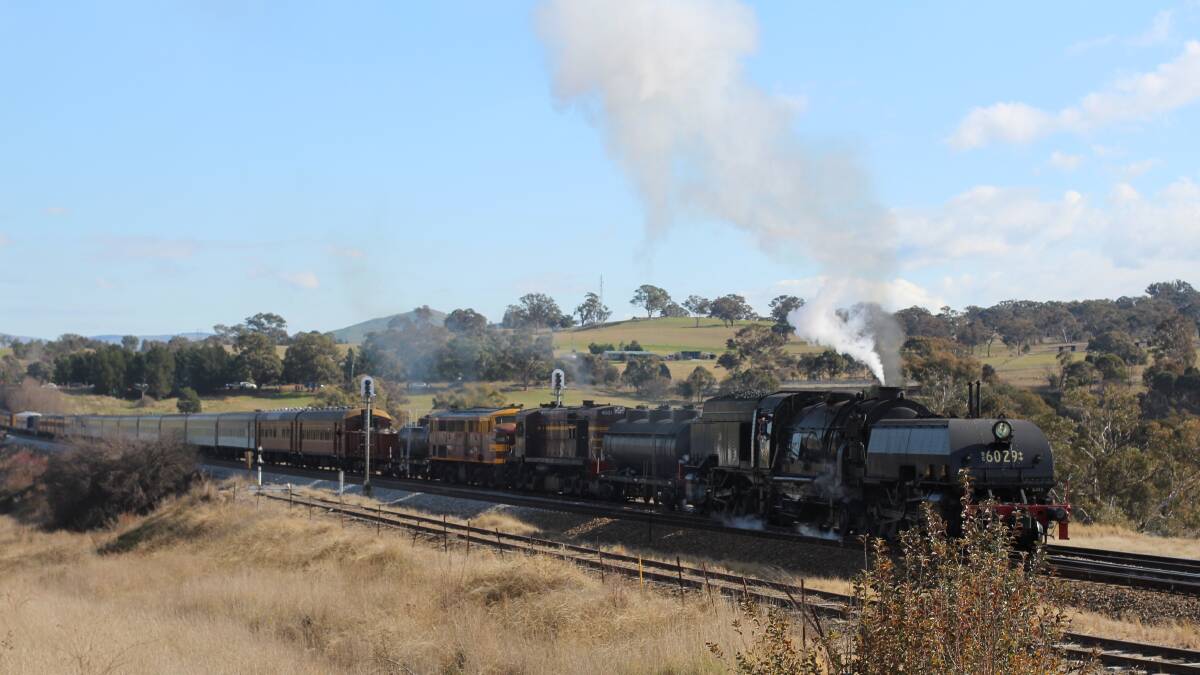 The Beyer Garratt 6029, one of the largest steam engines operating in the world, rolled into Yass last year to the many eager faces desperate to witness its fame. Photo: Jessica Cole.