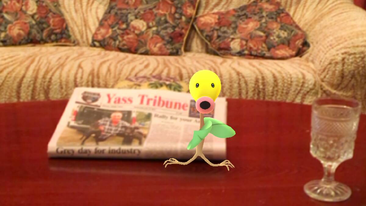 A Bellsprout jumps up and down on the Yass Tribune. 
