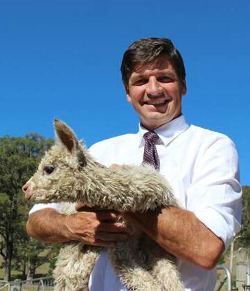 Angus Taylor with a week-old cria from Canyonleigh’s Birrong Suri Alpaca stud.