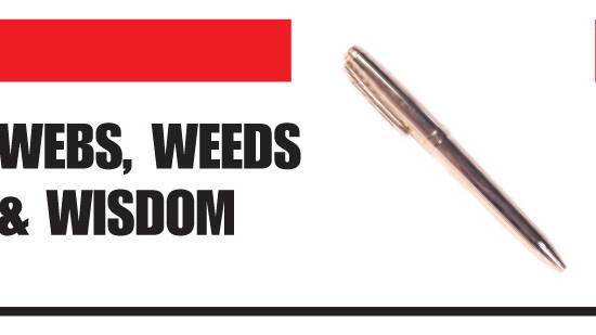 Webs Weeds and Wisdom: English: you got ta love it!