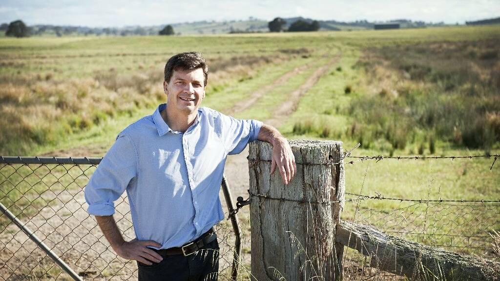 Angus Taylor believes voters should back Liberal candidate Pru Goward when they vote on Saturday.