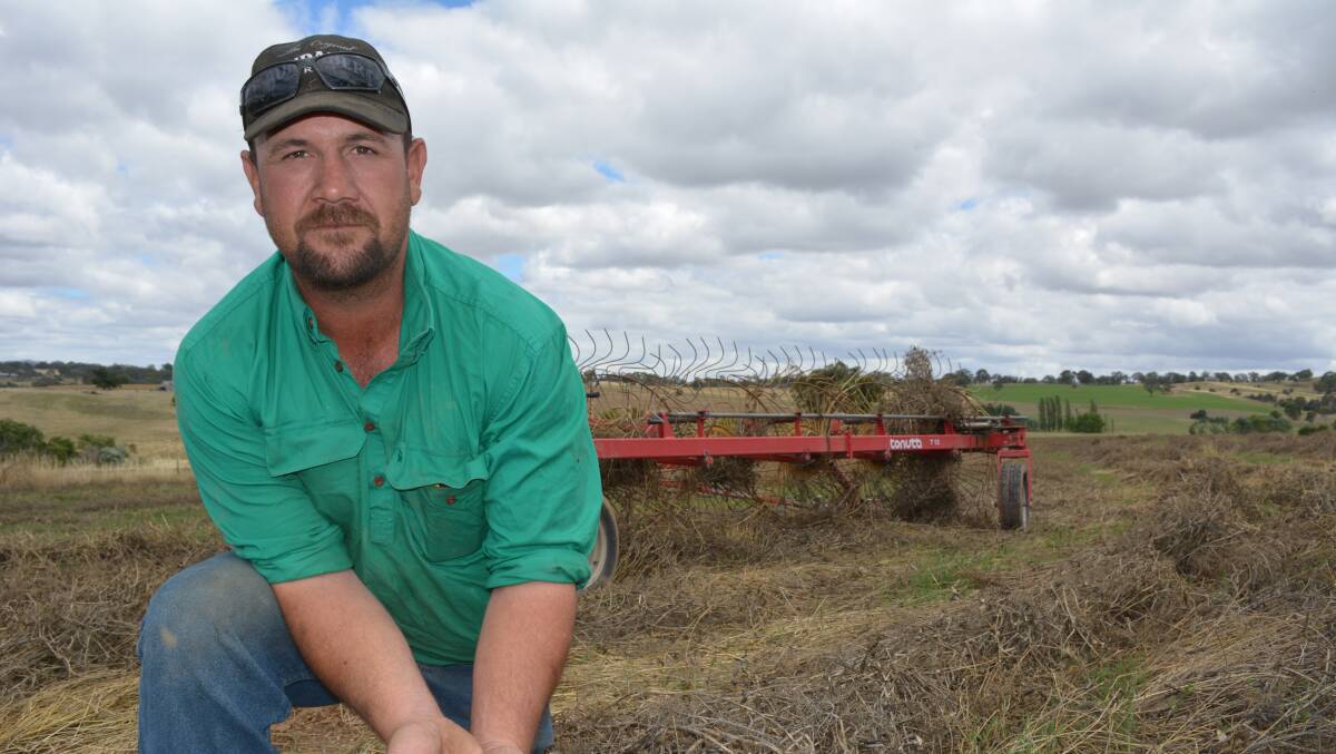 Michael Hedges, 'Willowvale', Yass, hopes to salvage seed from his field pea crop that was 80 per cent wiped out by a storm.