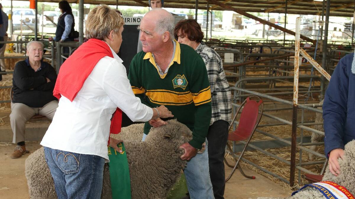 All sheep events were competitive and sheep were of a high standard despite a dry lead up season. Photo: RS Williams.