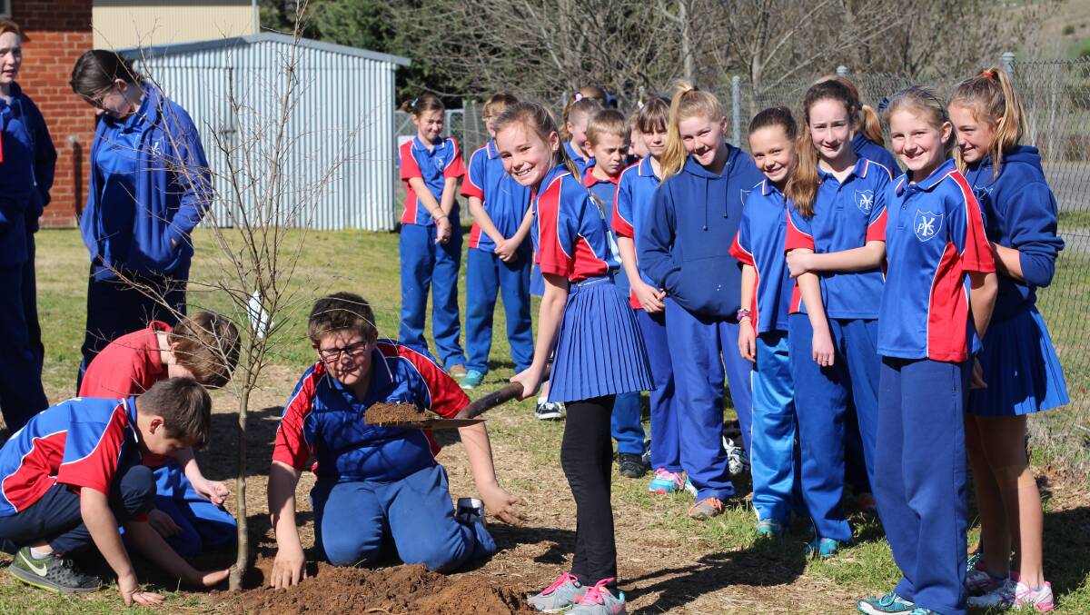 Students took it in turn shovelling dirt to plant their tree earlier this week. Photos: Jessica Cole. 

