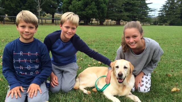 The Loxton children, Freddie, Harry and Sophie with their miracle dog Stella. Photo: Emily Loxton. 
