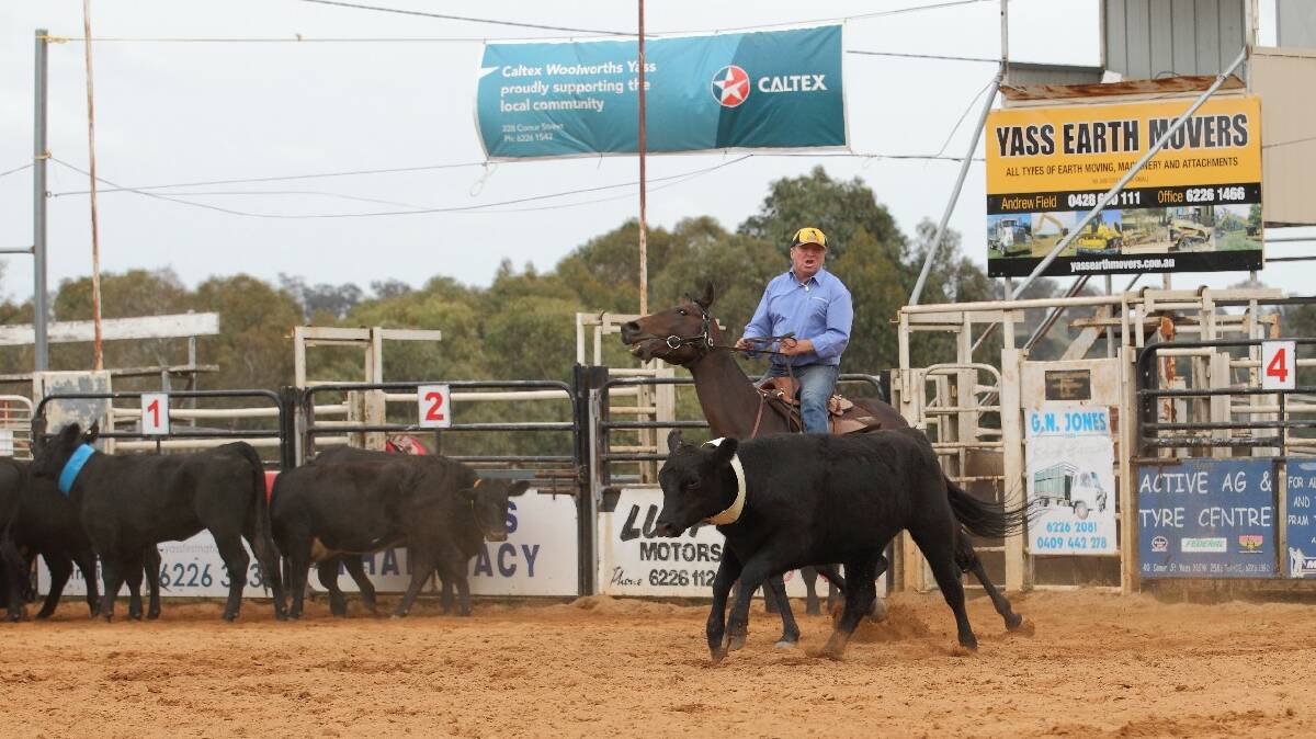 The Team Penning events made for good viewing on Saturday and Sunday. Photo: RS Williams.