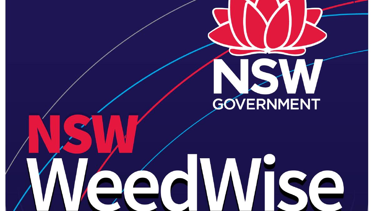 The newly-created WeedWise app will be beneficial to many producers.
