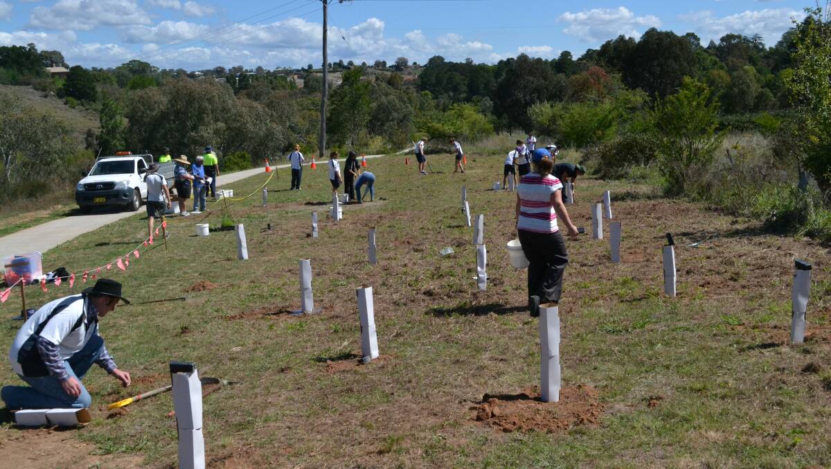 Yass High Students planting native trees next to the new walking track earlier this year. Yass Landcare has just received a grant to continue improving the area. Photo: Oliver Watson.