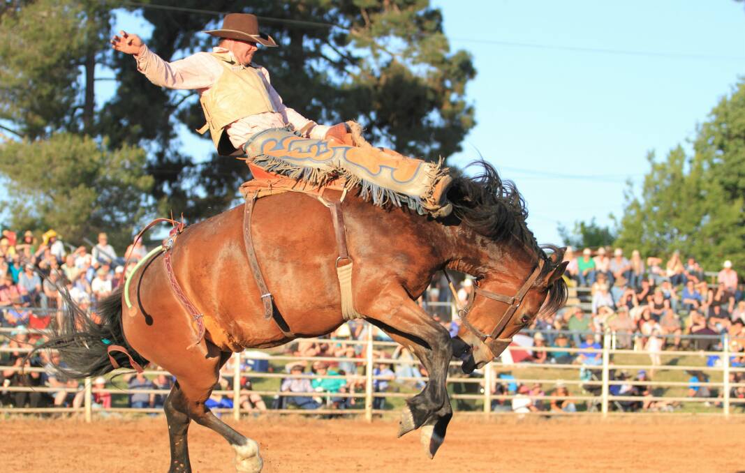 The Yass Rodeo attracted a crowd of 1500 to the showground on Saturday, topping last year's attendance. Photo: Jamie Williamson, RS Williams Sport.