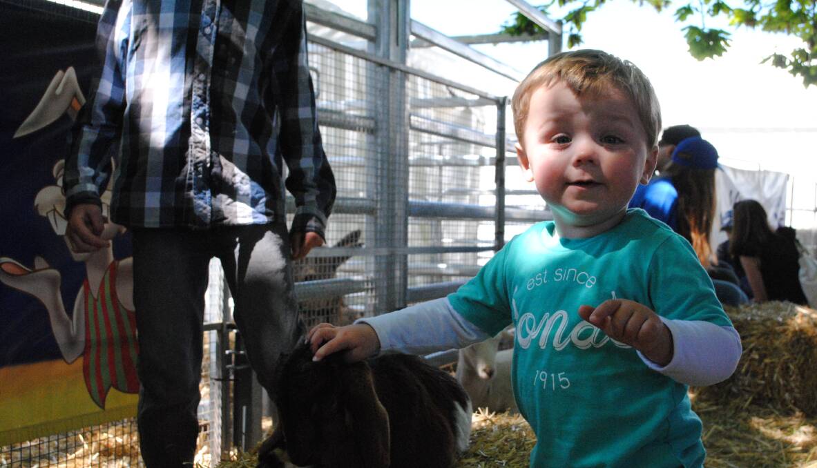 Rory Brodbeck came from Young, just to enjoy the fabulous petting zoo at the Murrumbateman Field Days. Photo: Oliver Watson. 
