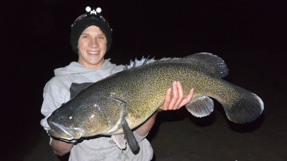 Local angler Kobin Rasker with a healthy Murray cod taken on a surface lure. Photo: Supplied.
