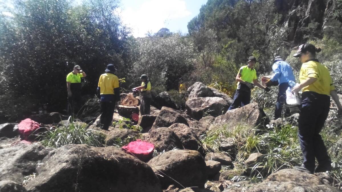 The Green Army team hard at work in the Yass Gorge. Photo: Yass Valley Council.