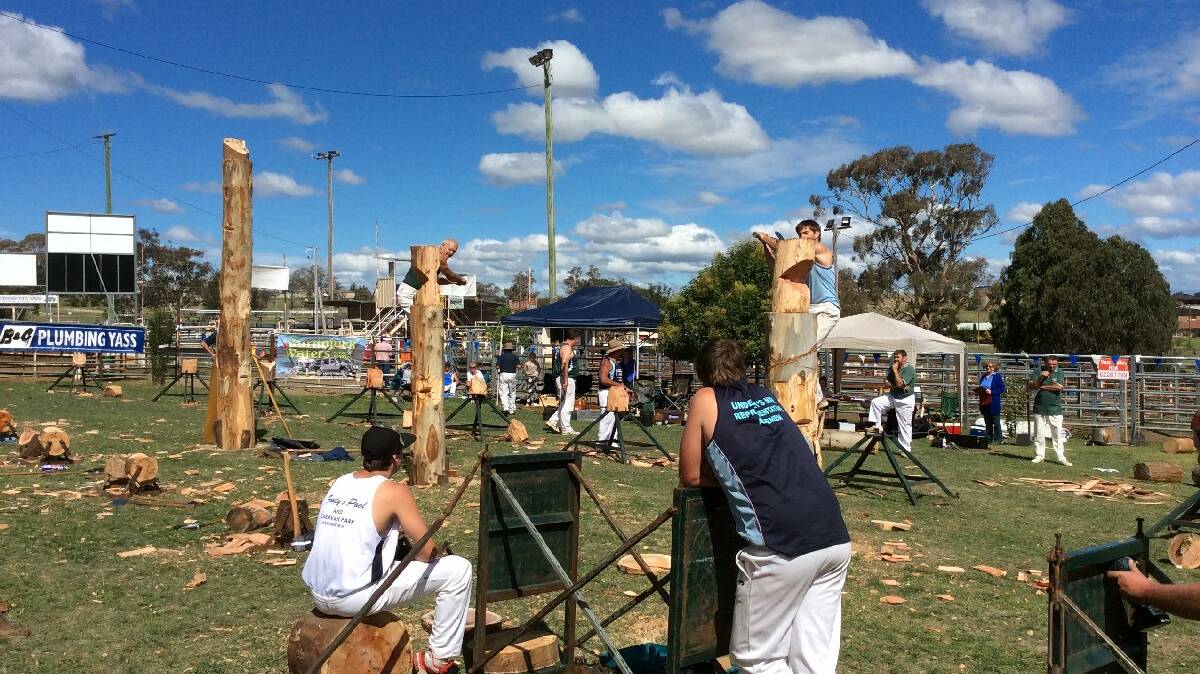 The wood chop events made for good viewing at the Yass Show on Sunday. Photo: Contributed.