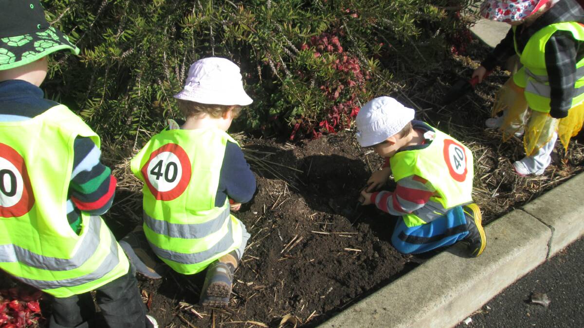 Kids at Montessori Pre-School took part in National Tree Day last Friday. Photo: Supplied.
