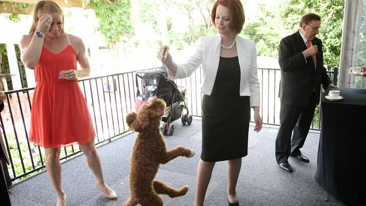 Reuben attempts to get his 'hamburger' from Prime Minister Julia Gillard's hand as Sally Pearson, Young Australian of the Year 2013, looks on, during the morning tea for Australian of the Year Awards 2013 finalists at The Lodge.