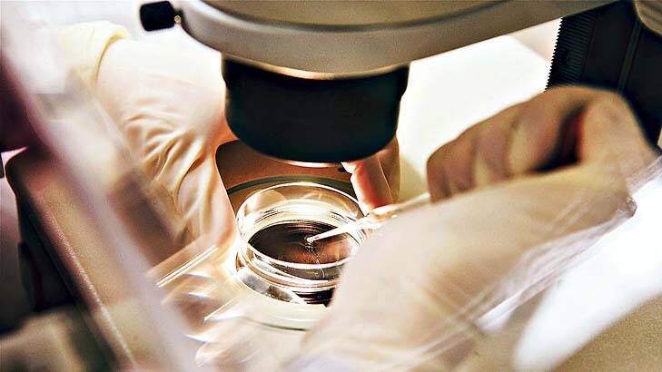 In legal contention ... about 120,000 embryos are in storage facilities around Australia.