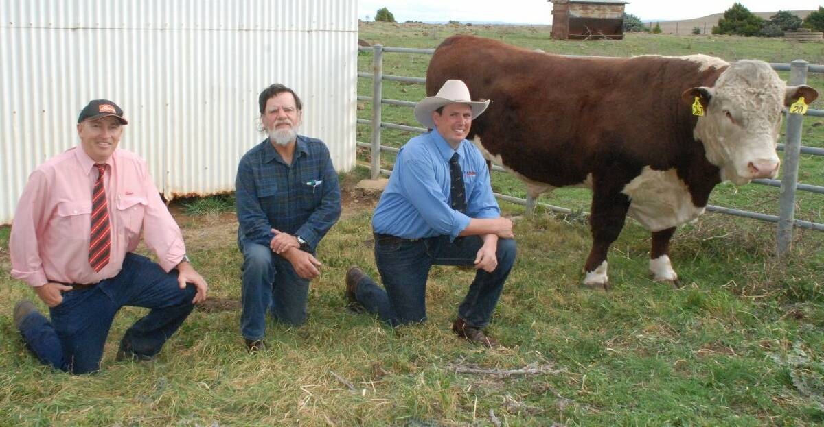Elders Tim Schofield and Trevor Eccles of Bookham, buyer of the top priced bull - lot 20, with Gunyah Hereford stud principal Robert Hain. Photo: Contributed.