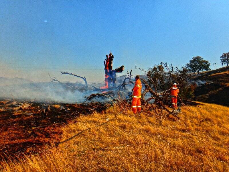 Scenes faced all week by firefighters working against the Cobbler Road bushfire. Photo: Tony Bugden.