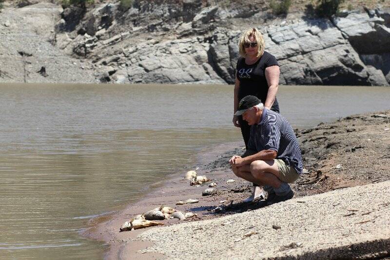 Liz and Don Richardson from Good Hope Tourist Resort inspect the fish kill.