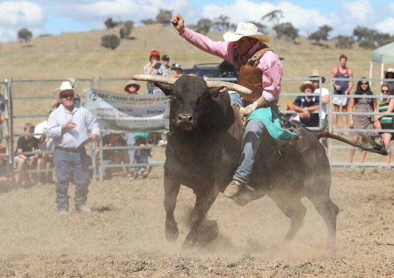 The Murrumbateman rodeo was a big one on Saturday. The Bulls and broncos proved tough to ride and the barrel racing was of an extremely high standard. Photo: RS Williams
