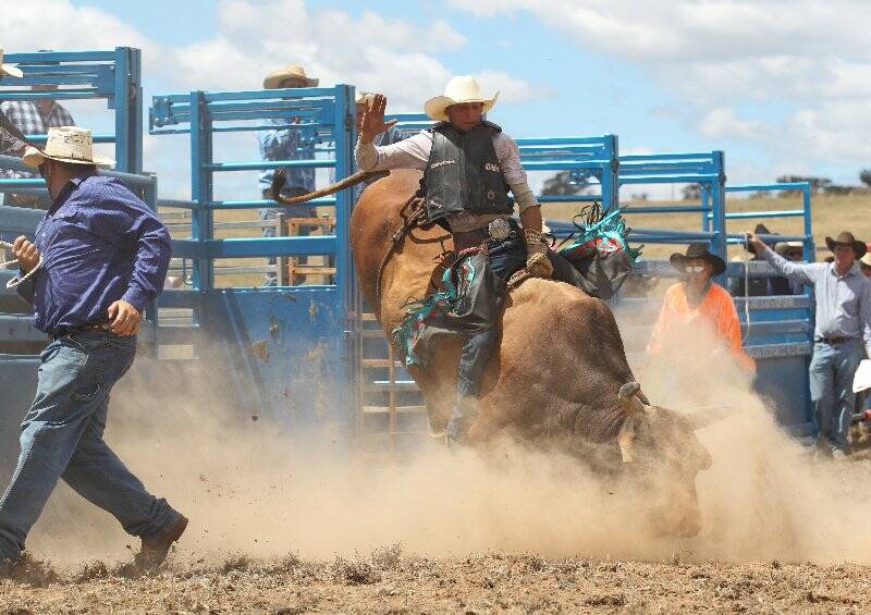 The Murrumbateman rodeo was a big one on Saturday. The Bulls and broncos proved tough to ride and the barrel racing was of an extremely high standard. Photo: RS Williams