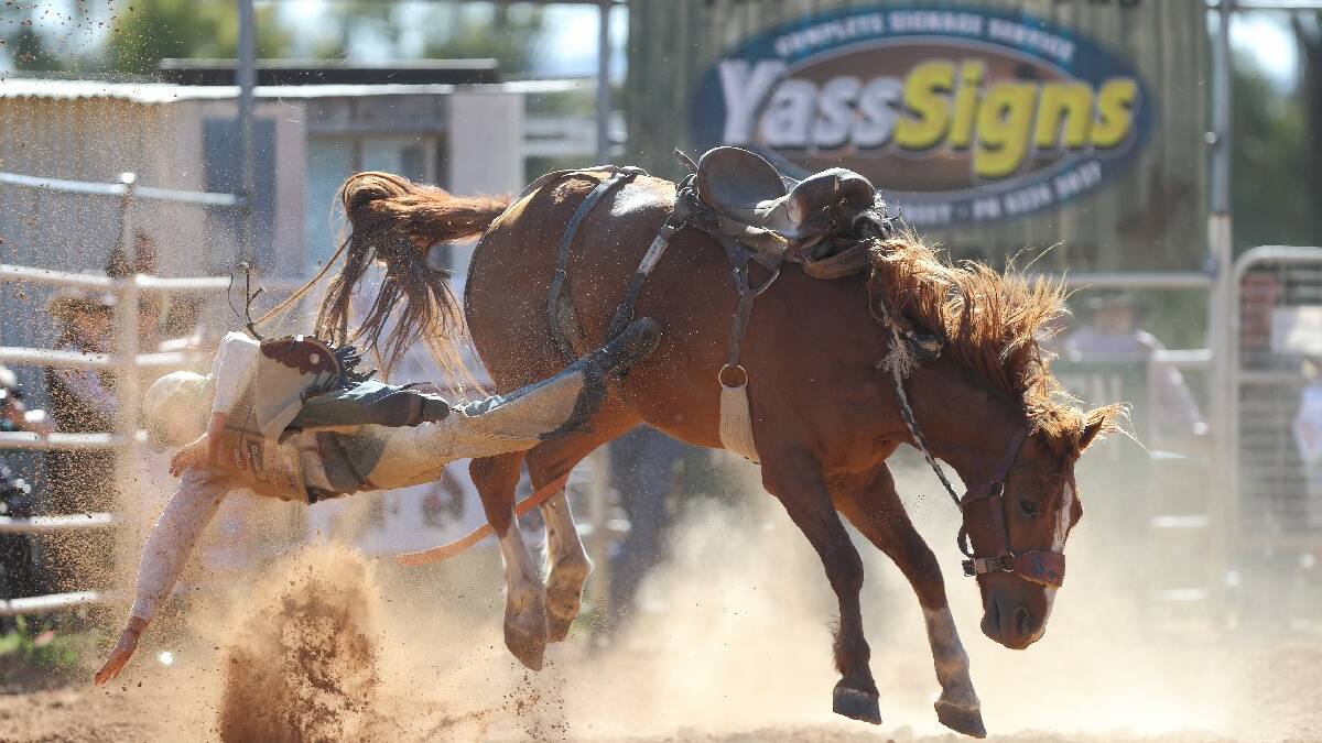 MAN VS WILD: There were plenty of heavy spills as bull riders and horse people descended on the Yass Showground for the Rodeo at the weekend. Photo: RS Williams. 