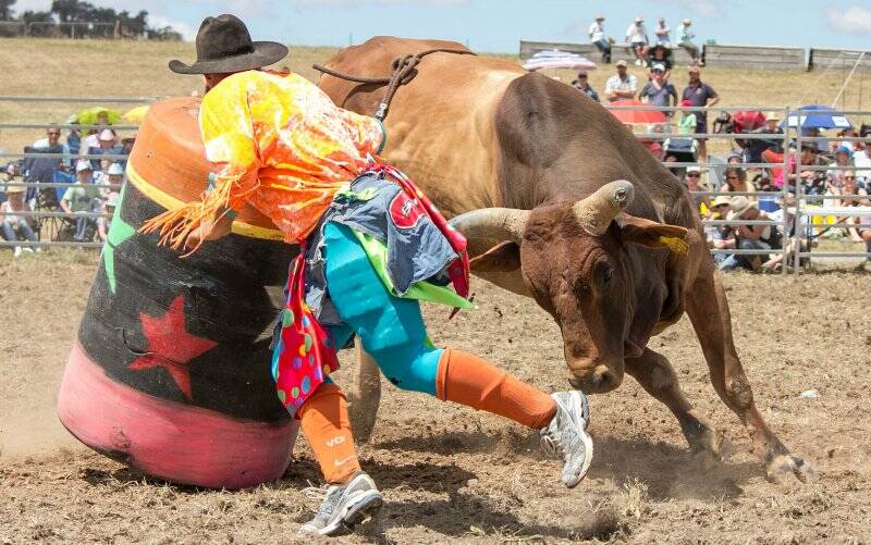 Event organiser Matt Darmody avoids a huge bull on Sunday. Photo: Leah Moran.