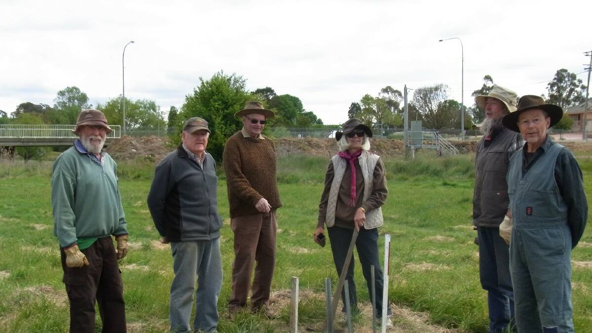 A group planting trees at Barbour Park as part of a working bee.